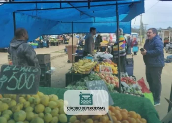 Merluza fresquita, caserita…